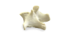 L1