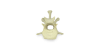 L1