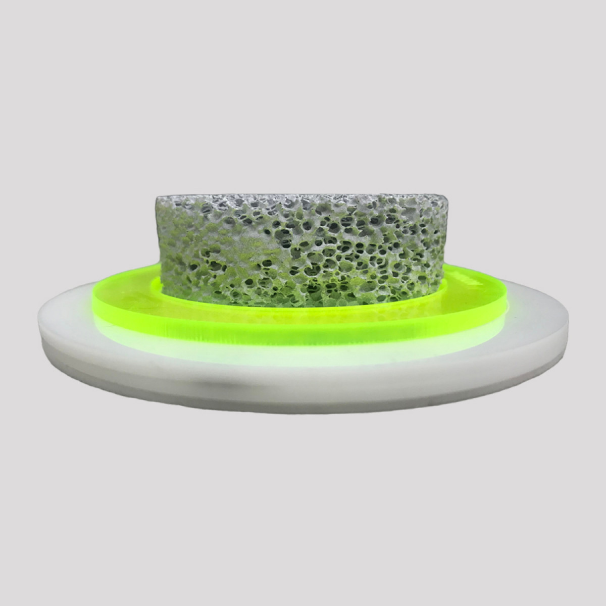 modelo demonstrativo de osteoporose