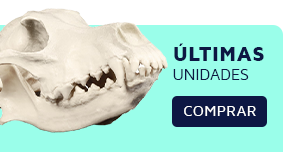 Banner Menu